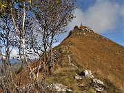 38 Alla selletta tra Val Brembana e Val Serina  (1280 m) ...rampatina finale per la vetta!